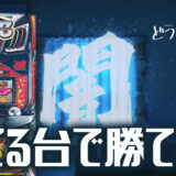 【ハナハナブログ】養分ぴえろの飯ウマ実戦日記vol.742（ニューキングハナハナ）