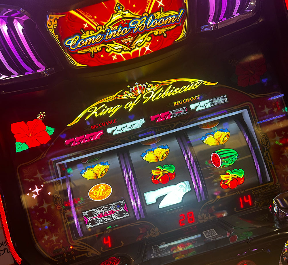 着席したニューキングハナハナ
